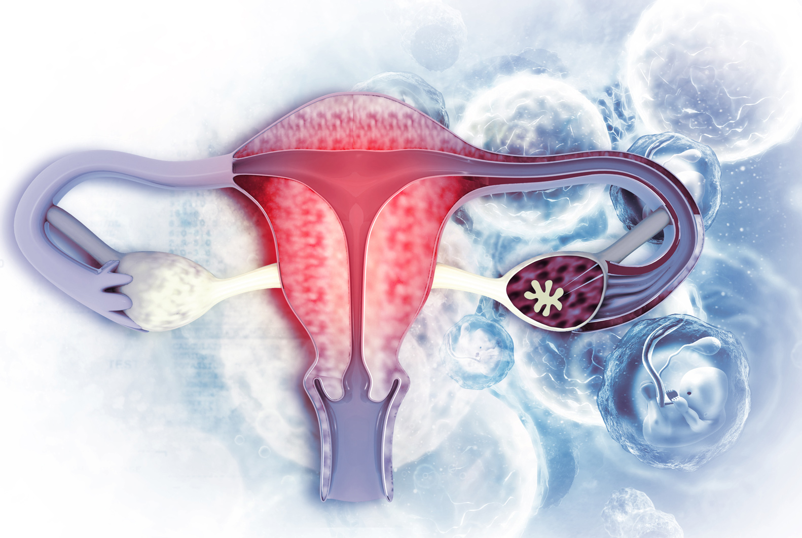 Featured Image for “Ovarian Cancer”